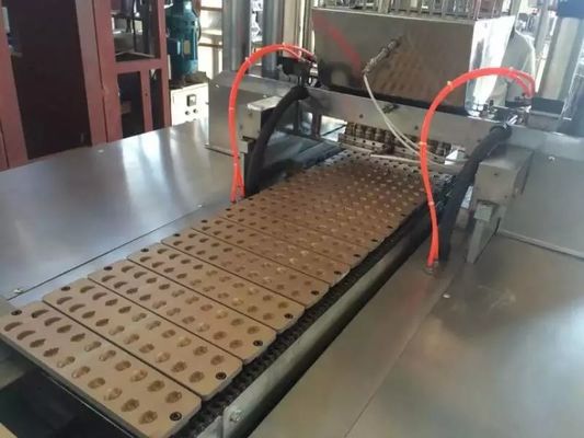 Saatte 150kg Otomatik Jöle Şeker Makinası Tedarikçi